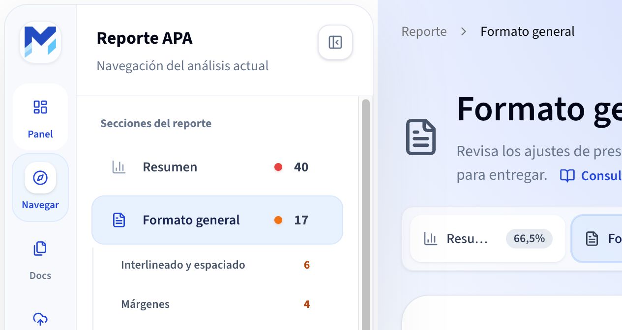 Reporte de Formato general con el panel lateral abierto y sus criterios de revisión.